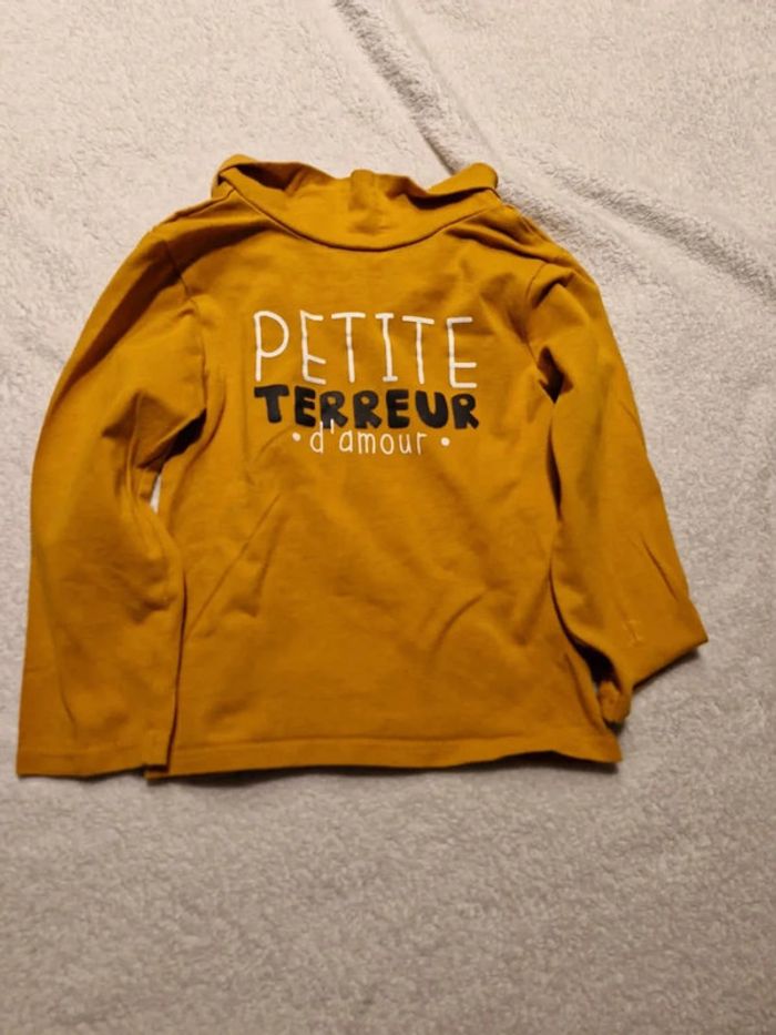 Lot de Sous pull taille 23mois. - photo numéro 4