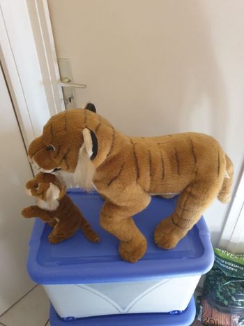 Peluche