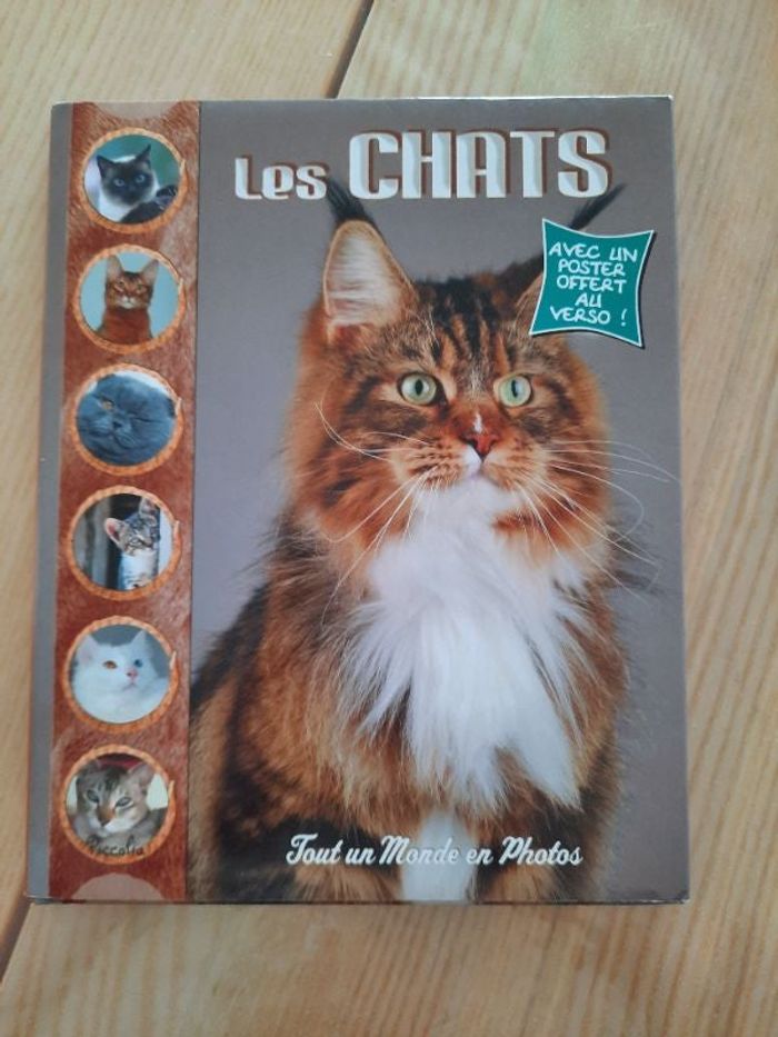 Les chats