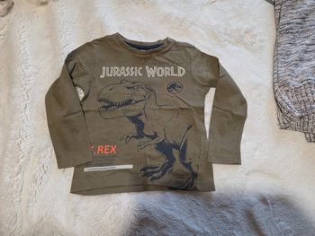 T-shirt jurassic Word manches longues  4 ans