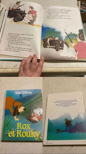 Livre Walt Disney " Rox et Rouky "