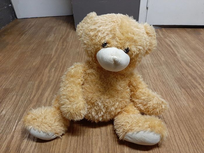 Grand nounours en peluche - photo numéro 2