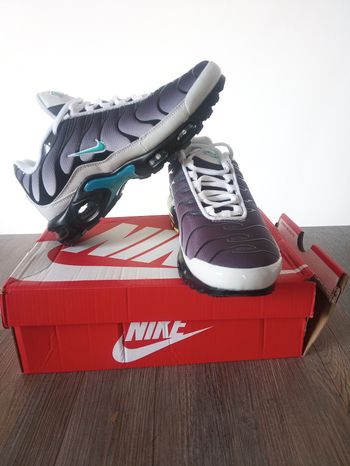 Air max plus