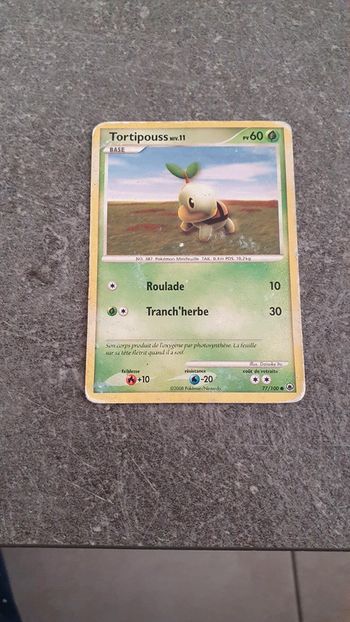 Carte Pokemon Tortipouss