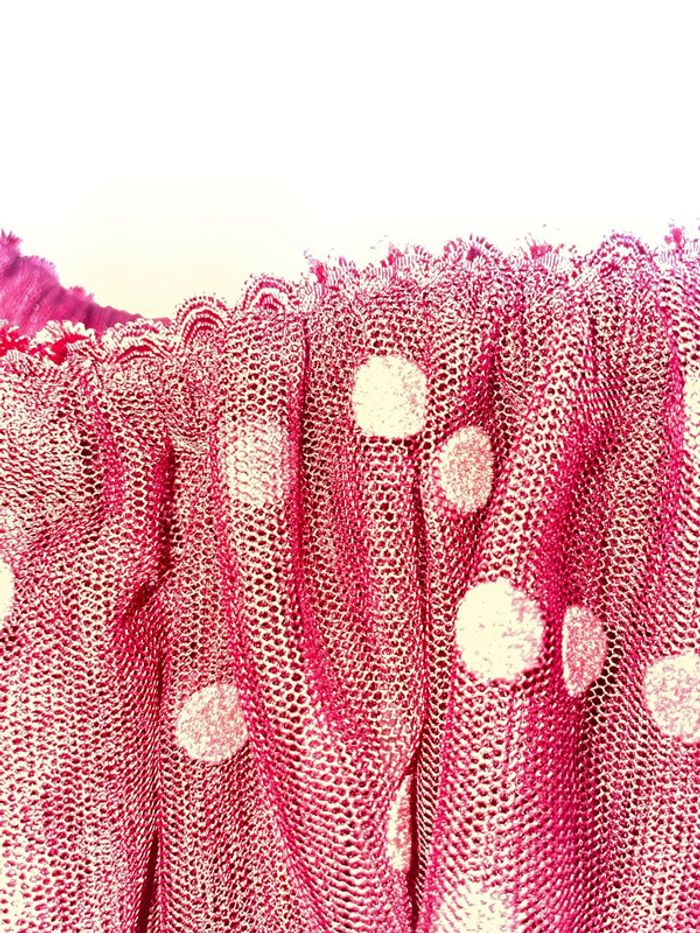 Jupe tutu, Kiabi, huit ans - photo numéro 3