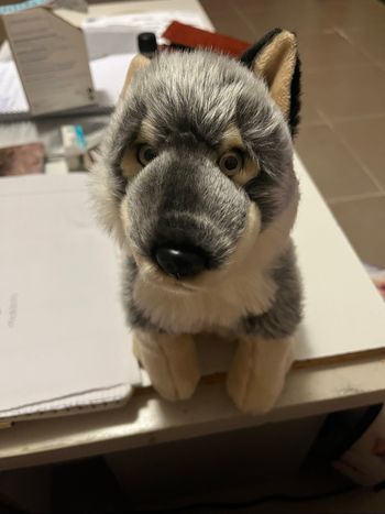 Peluche de loup