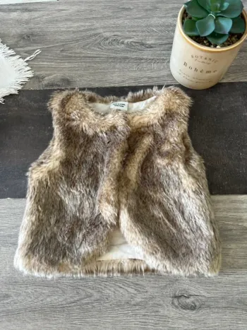 Fourrure sans manches