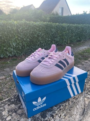 Adidas Samba - Clear Pink/Night Indigo