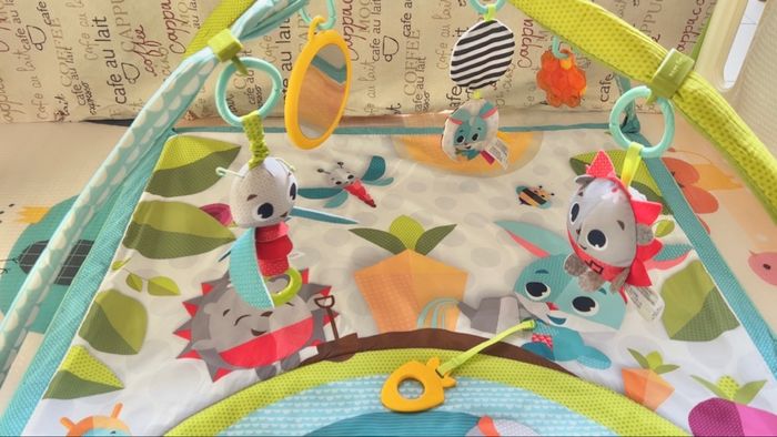 Tapis d’éveil Tiny love - photo numéro 2