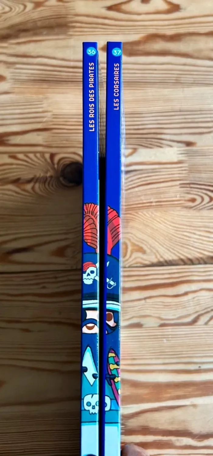 Livre playmobil - photo numéro 3