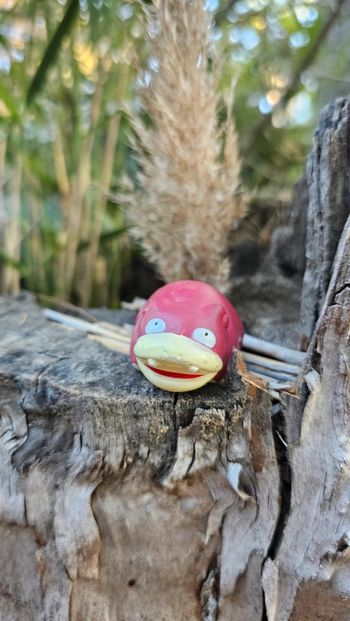 Super figurine Pokemon Nintendo bondai Ramoloss