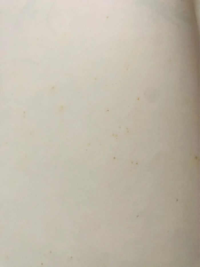 Grimion gant de cuir - photo numéro 12