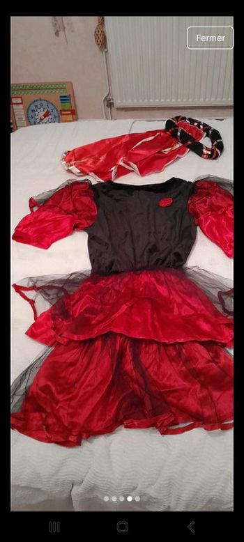 Deguisement  princesse medieval