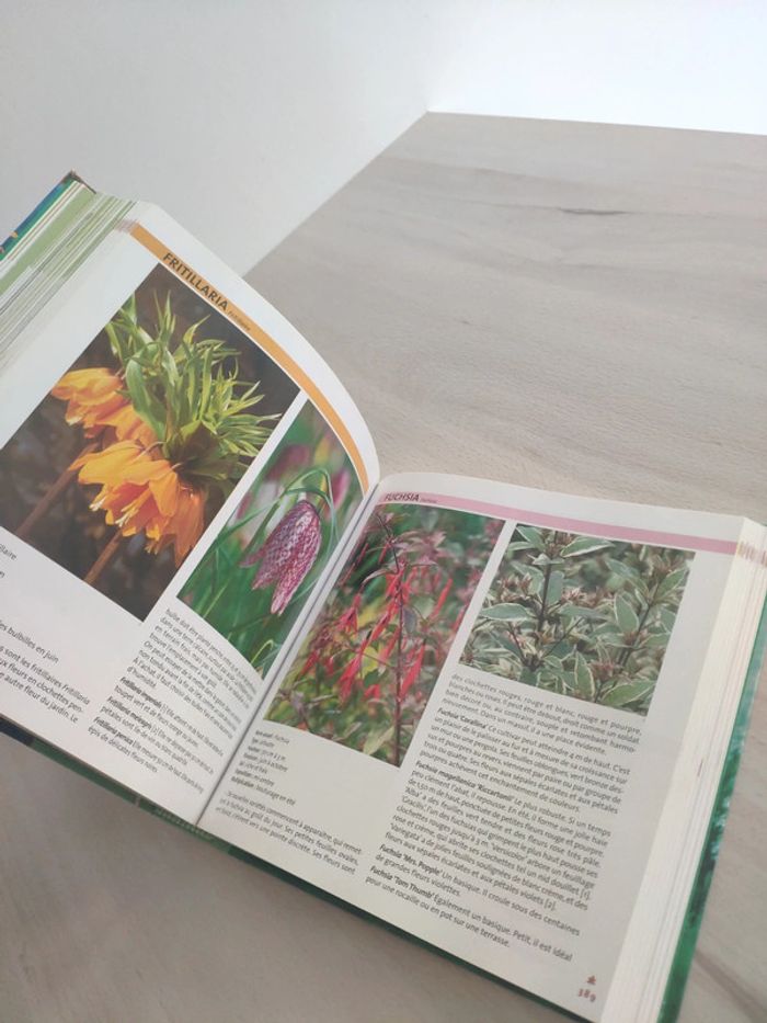 Livre 1000 plantes de A à Z Peireire encyclopédie indispensable du jardinier - photo numéro 6