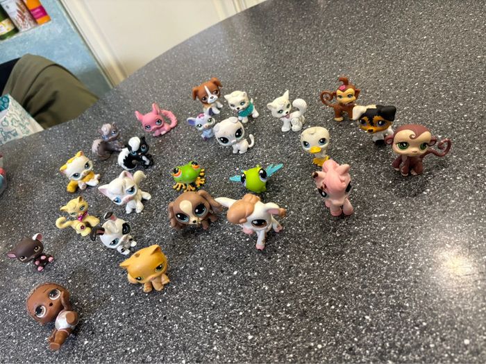 Lot pet shop
