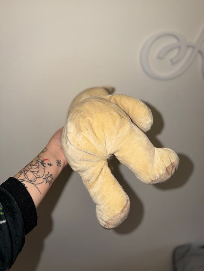 Ours en peluche - photo numéro 4