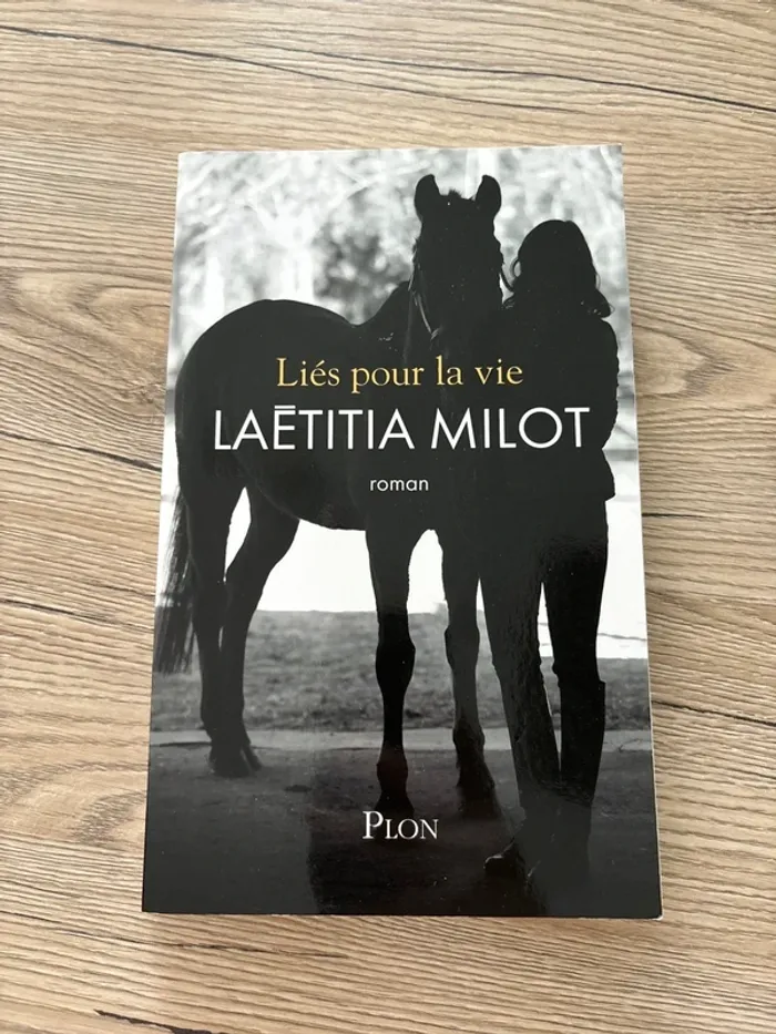 Livre grand format