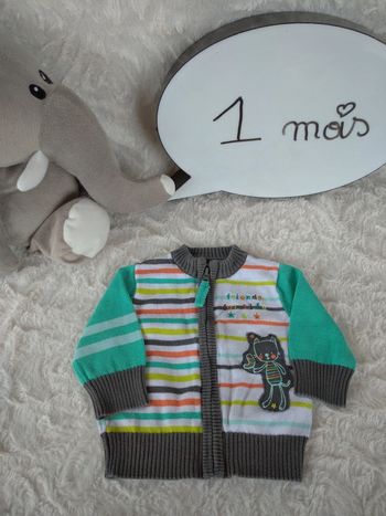 Gilet zippé Garçon 1 mois Chat Friends for life Orchestra