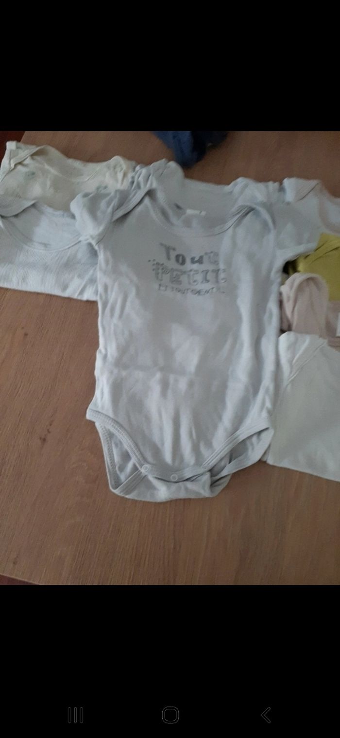 Lot de 12 bodys manches courtes taille 12 mois - photo numéro 5