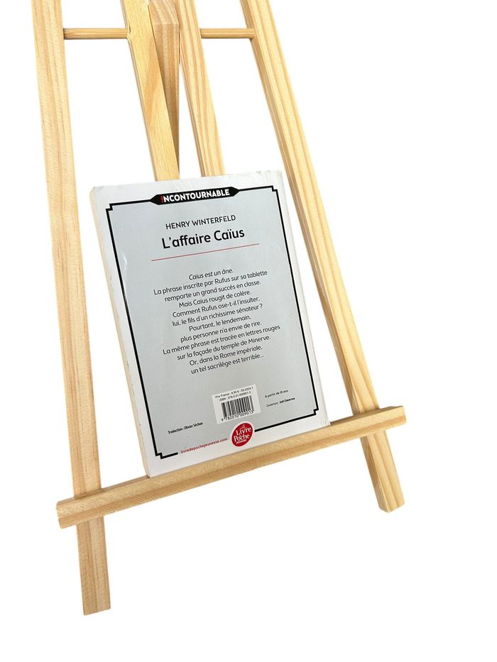 Roman jeunesse L'affaire Caius de Henry Winterfeld - photo numéro 2