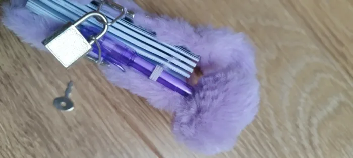 Petit carnet peluche lapin violet Claire's
