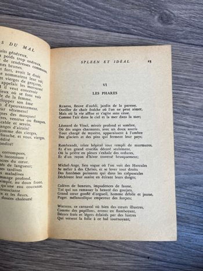 Livre Les fleurs du mal - photo numéro 2