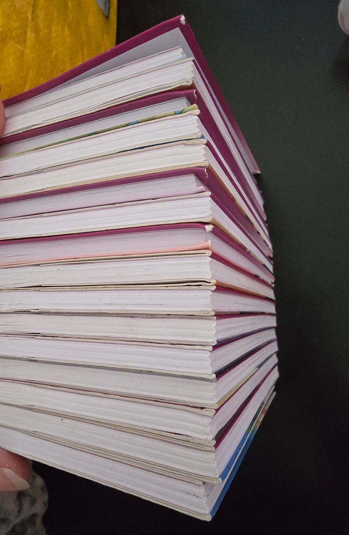 Lot de 16 livres les Sister - photo numéro 5
