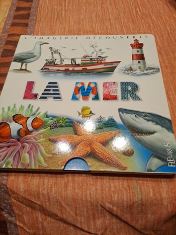 L’imagerie découverte la mer