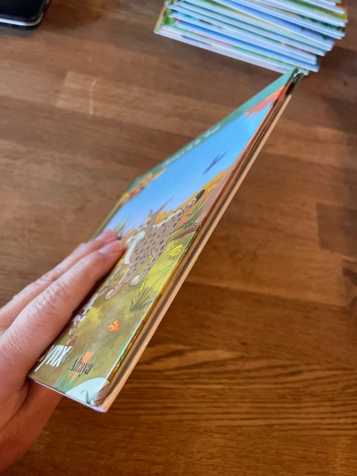 Livre Altaya Le monde des animaux Sauvages Animaux de la forêt Le Lynx - photo numéro 4