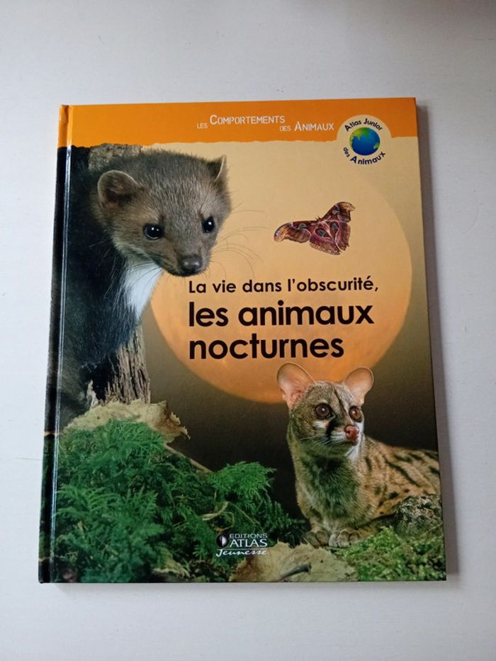 La vie dans l'obscurité, les animaux nocturnes