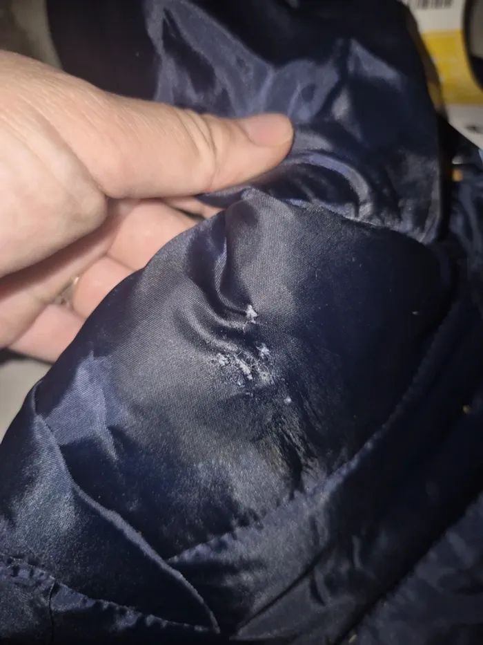 Manteau pat patrouille chase 3 ans - photo numéro 7