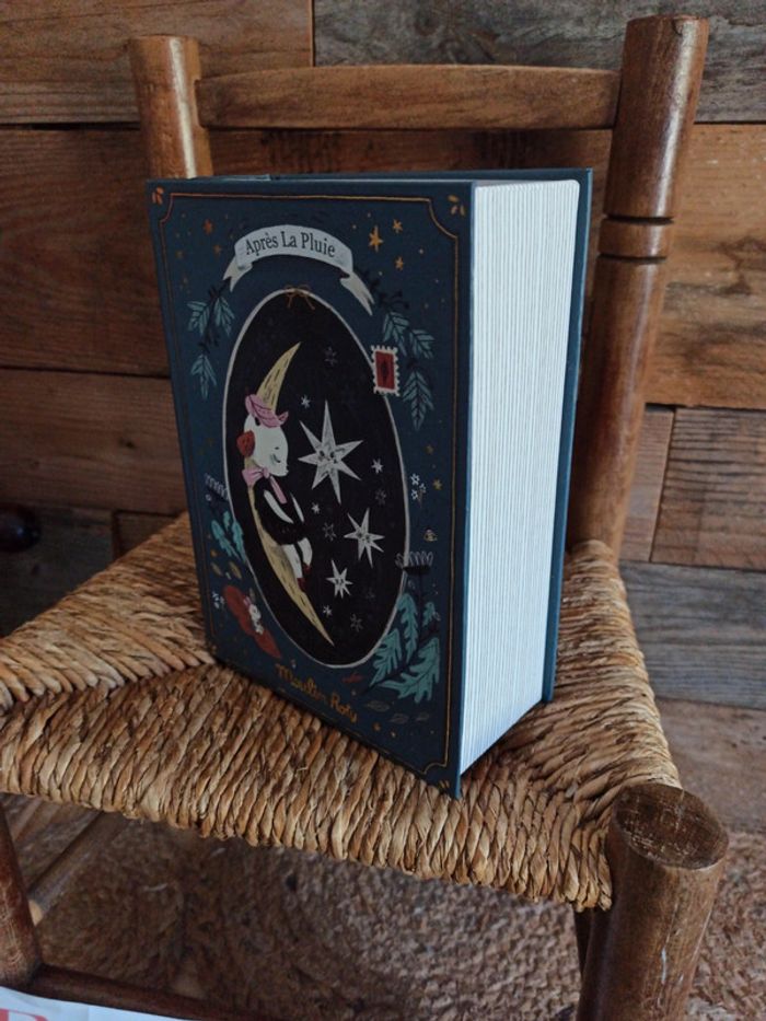 Coffret livre bonne nuit après la pluie Moulin roty tbe - photo numéro 8