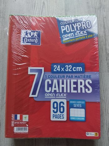 Lot 7 cahiers 24x32 96 pages gd carreaux