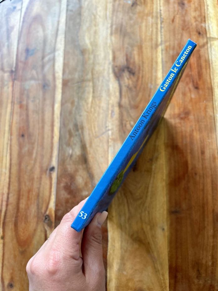 Livre Gaston le caneton - photo numéro 2