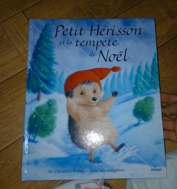 Livre Petit Hérisson et la tempête de Noël