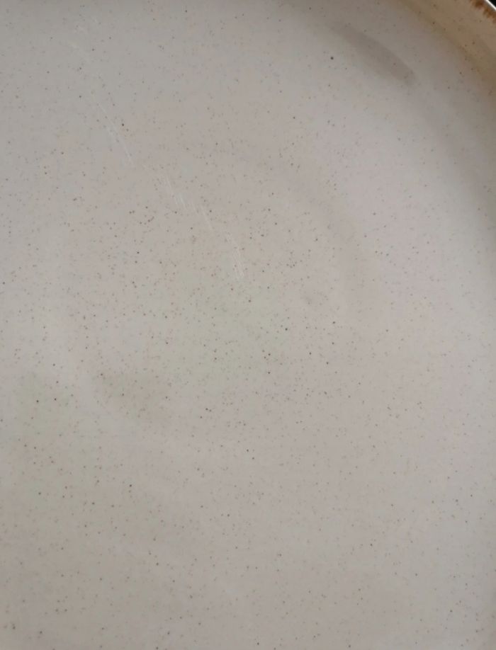 ASSIETTES PLATES RUSTIQUES BEIGE EN GRÈS - photo numéro 6