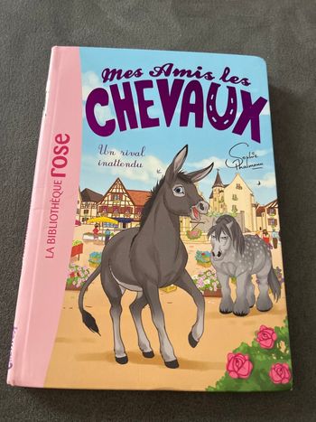 Livre bibliothèque rose mes amis les chevaux tome 4