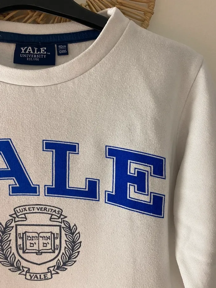 sweat Vertbaudet Yale University - Taille 12 ans - photo numéro 13