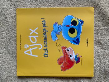 Ajax Chat s'arrange pas