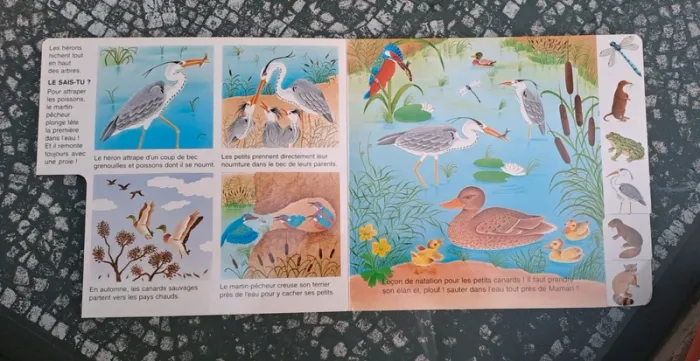 Livre les animaux vivants au bord de l'eau - photo numéro 3