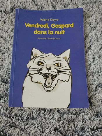 Livre Vendredi, Gaspard dans la nuit.