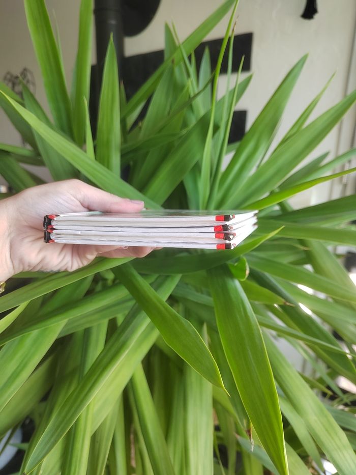 Lot de 2 livres "Max et Lili" - photo numéro 3