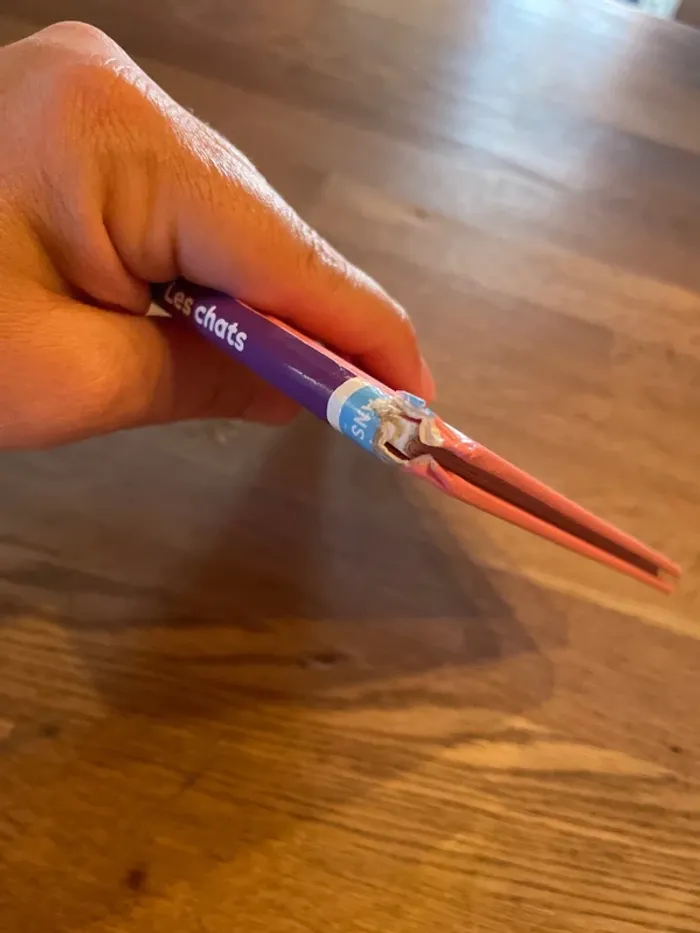 Livre Mes tout premiers Docs Les chats - photo numéro 11