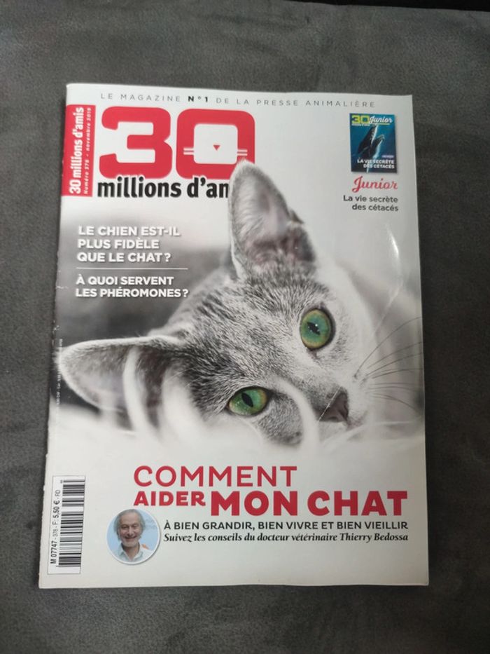 Magazine 30 millions d'amis numéro 378 novembre 2019
