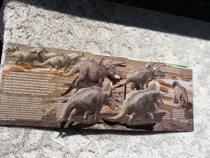 Livre pop up je suis un tricératops - photo numéro 7