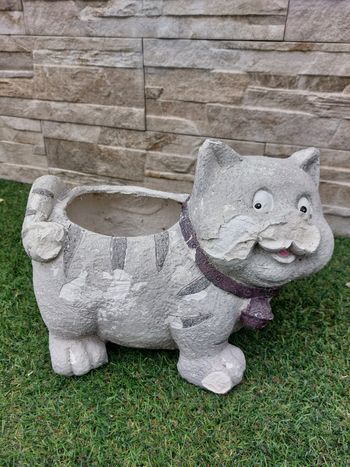 Chat décoration et cache pot