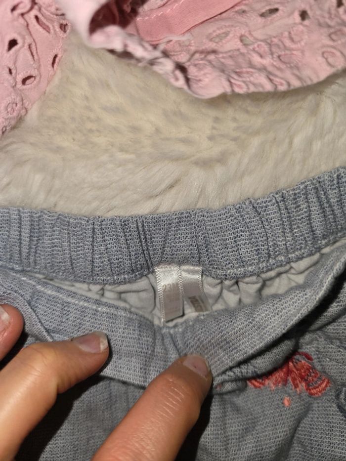 Lot de shorts - photo numéro 3