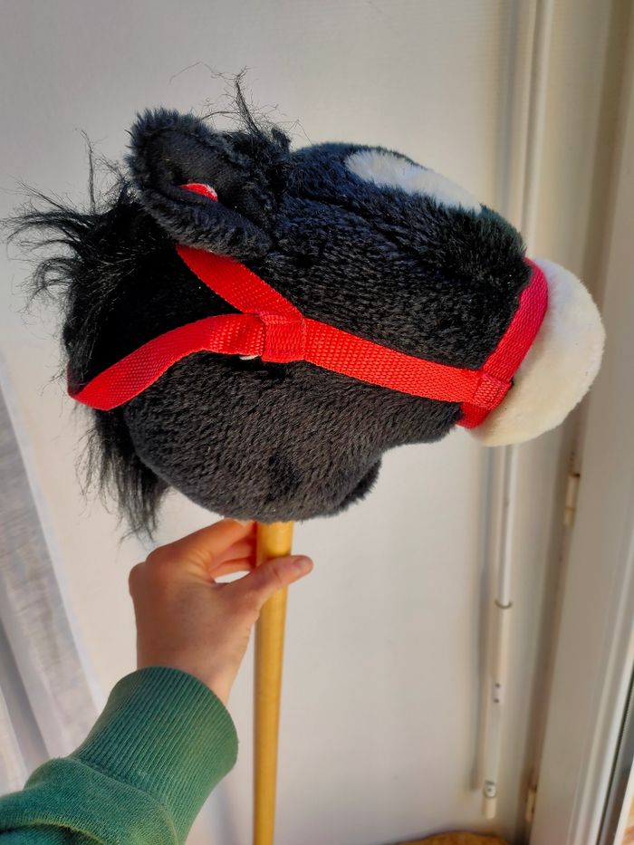Bâton cheval noir - photo numéro 4