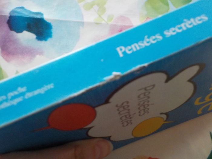 Pensées secrètes de David Lodge Ed. Rivages - photo numéro 4