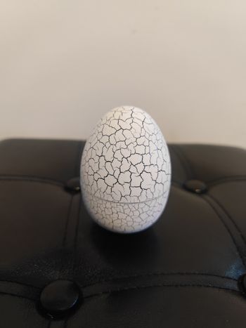 Oeuf animal de compagnie